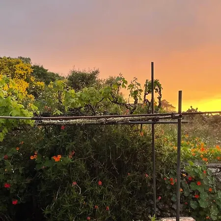 Εξοχικό σπίτι Casa & Monte *